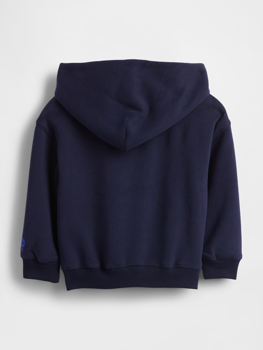 Blue Dinosaur Sweatshirt for Kids_1