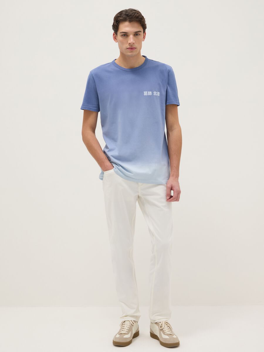 Regular fit blue pure cotton t-shirt with print_1