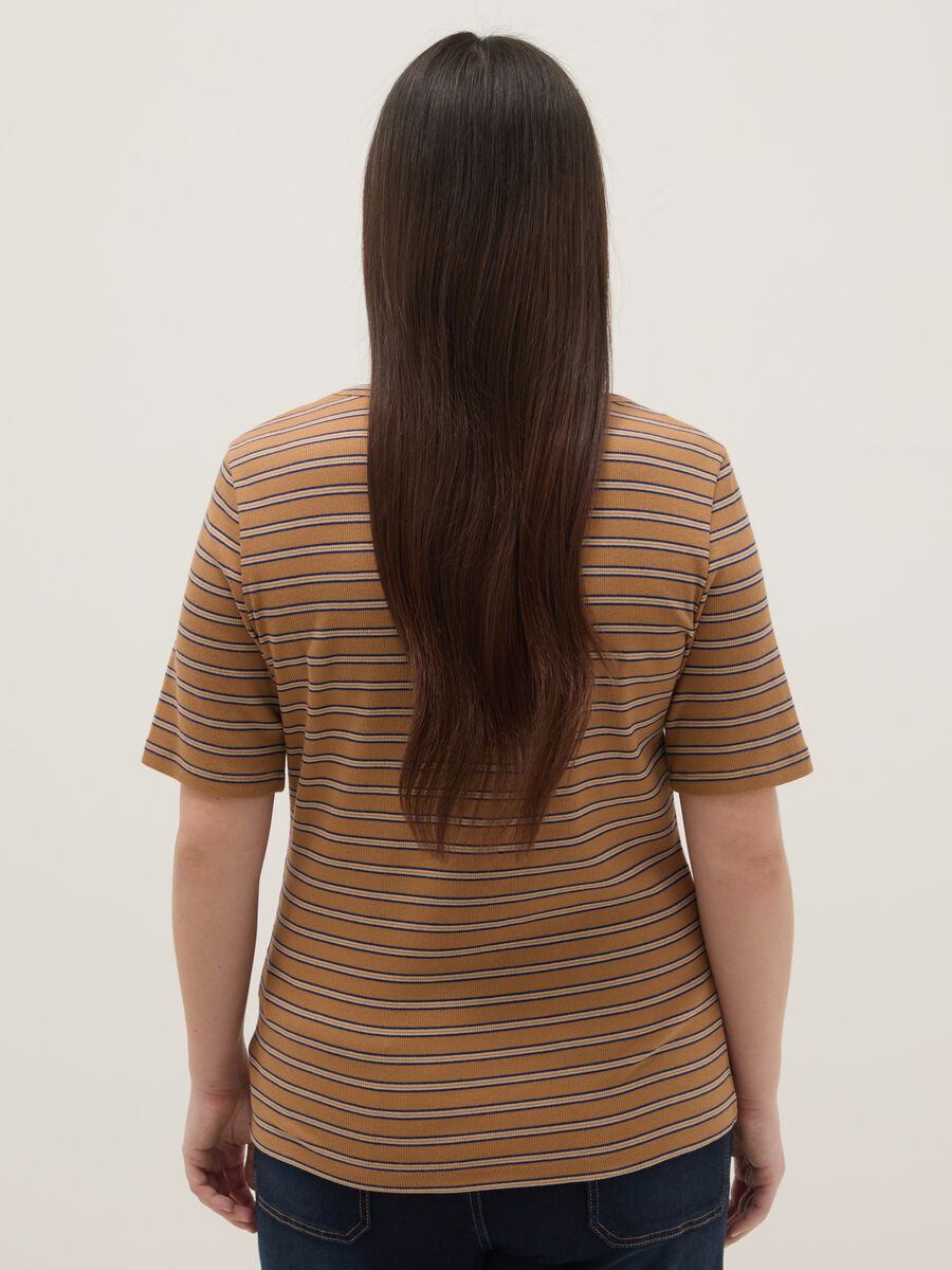 Regular Fit Multicolour Striped Stretch Cotton T-Shirt_2