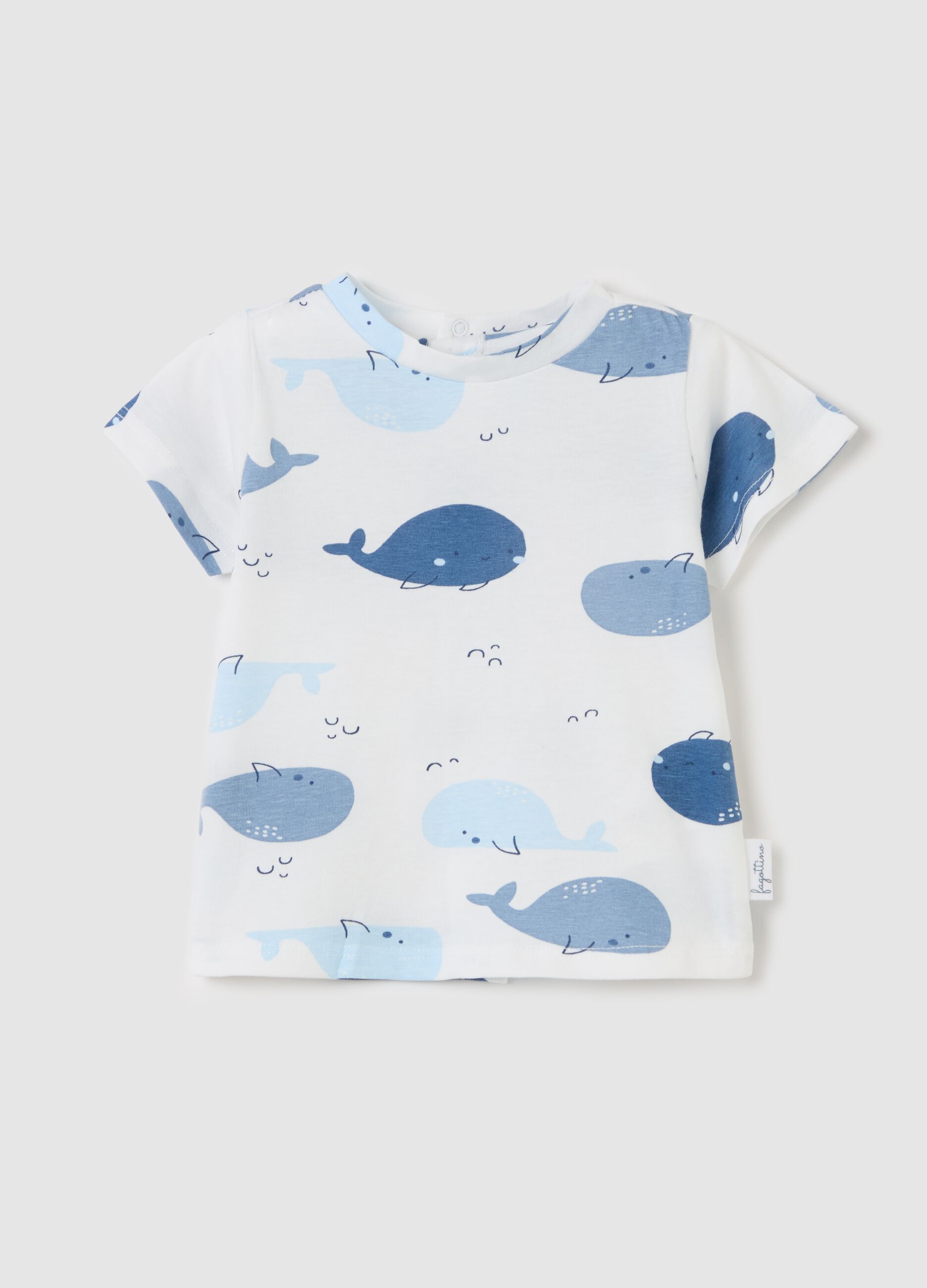 Cotton T-shirt with cetaceans print