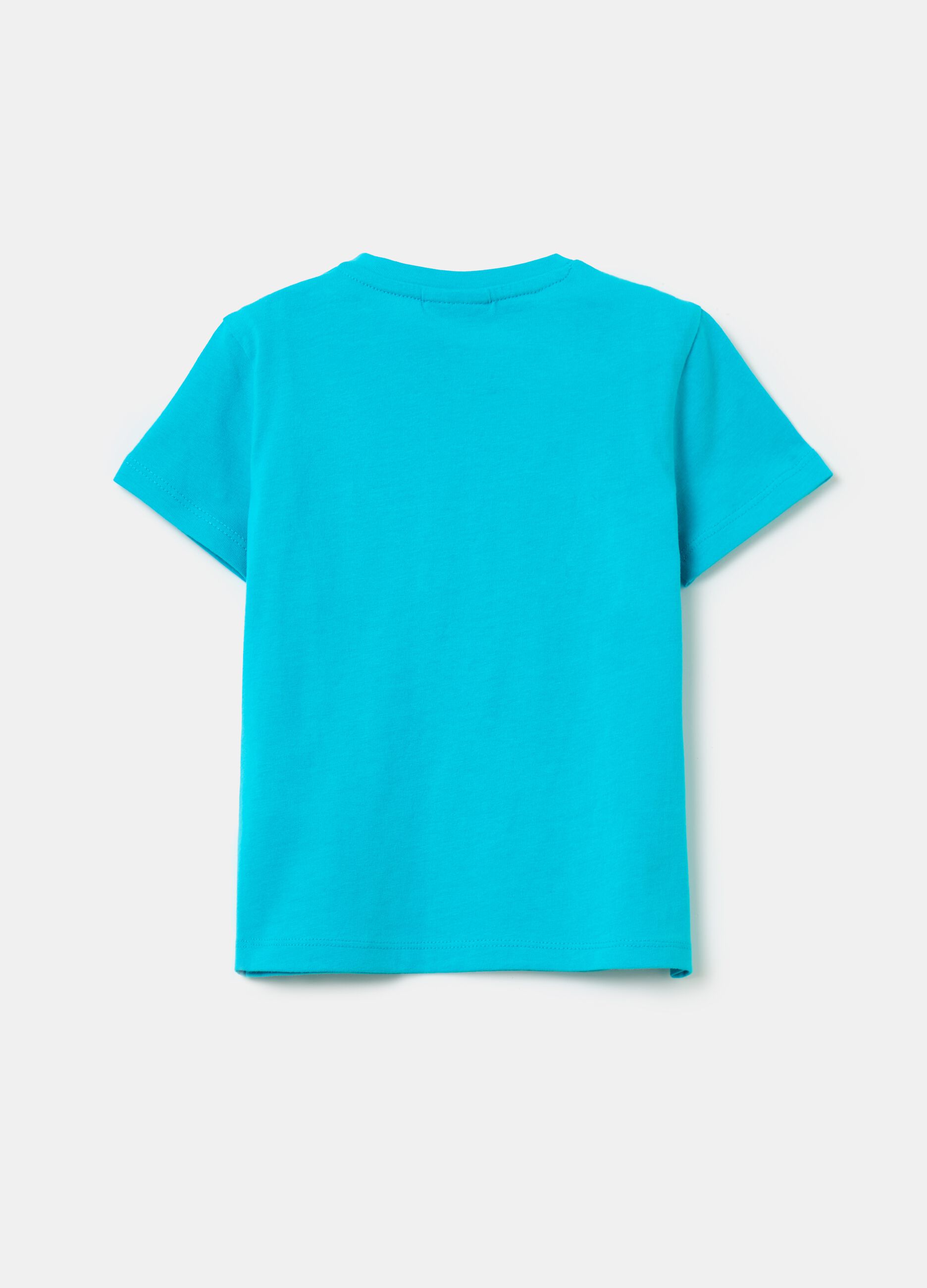 Cotton T-shirt with pocket and print