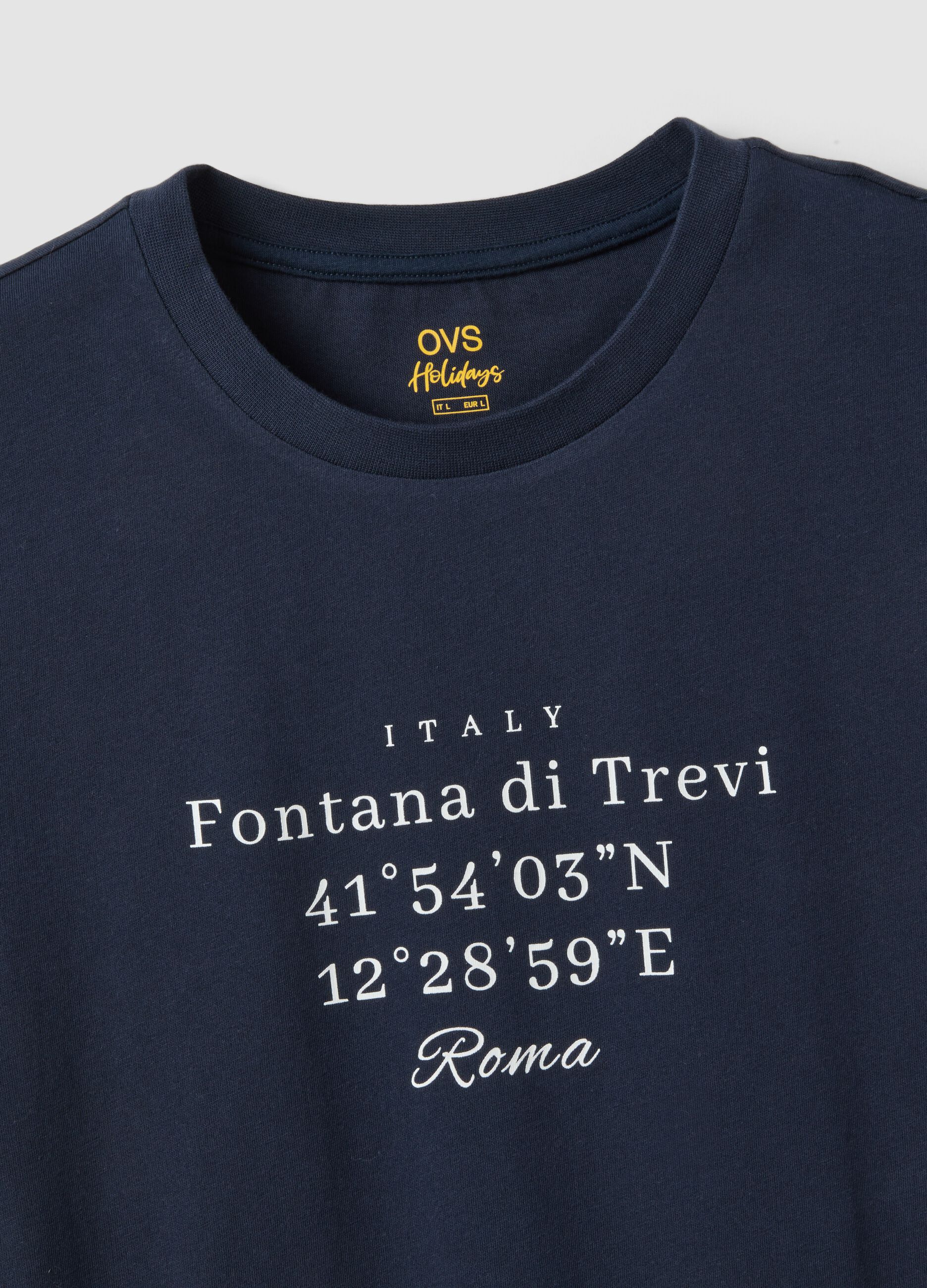 Blue pure cotton regular-fit T-shirt with front print