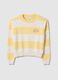 Multicolour striped cotton blend regular fit jumper_4