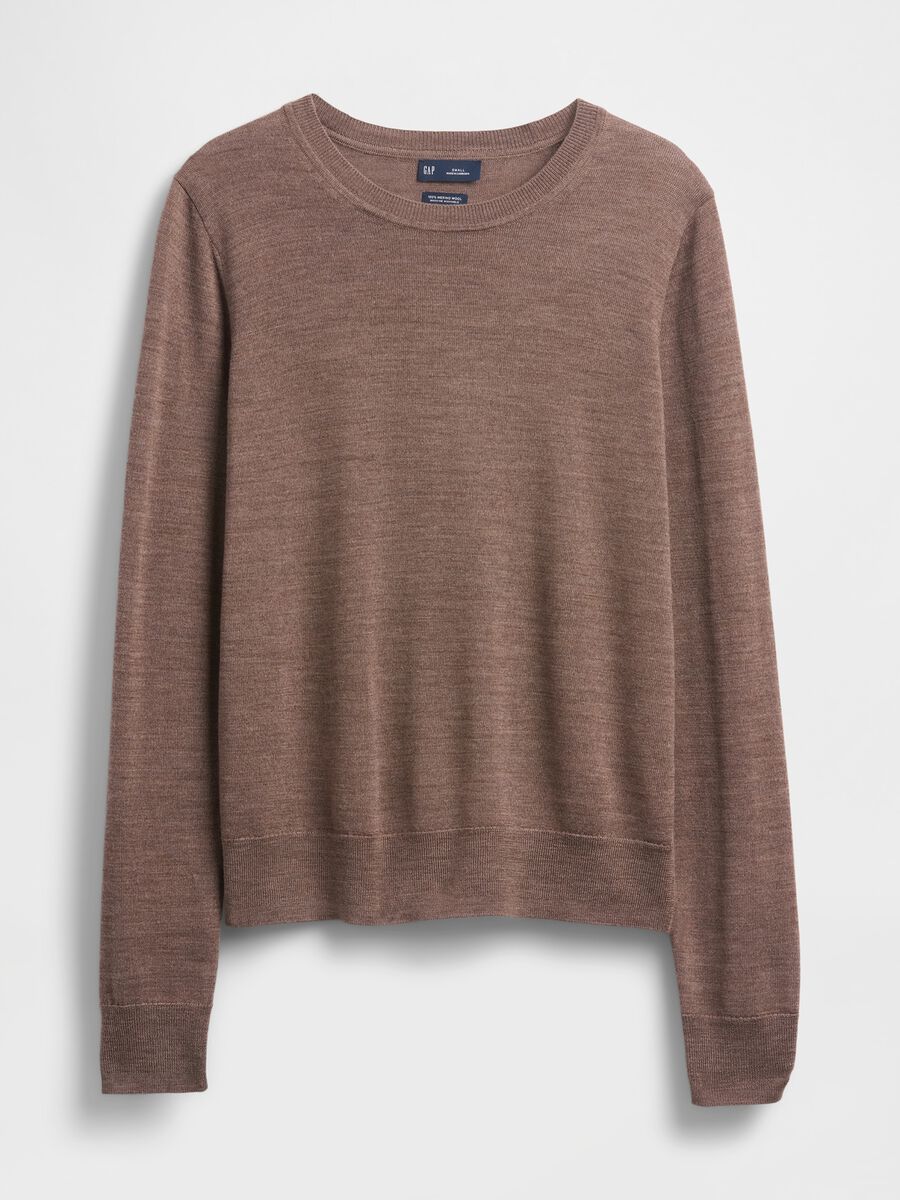 Brown Wool Sweater_3