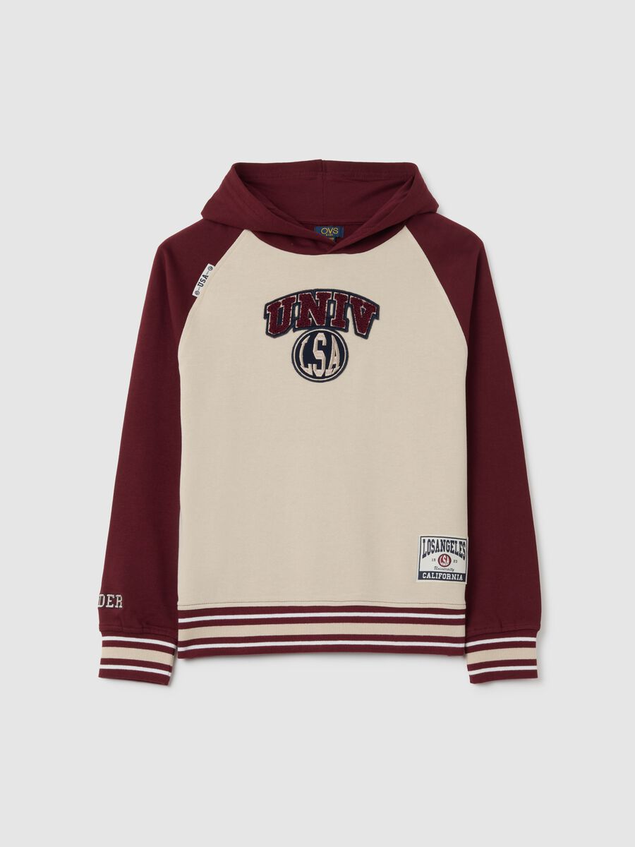 Felpa da ragazzo in puro cotone multicolor regular fit_0