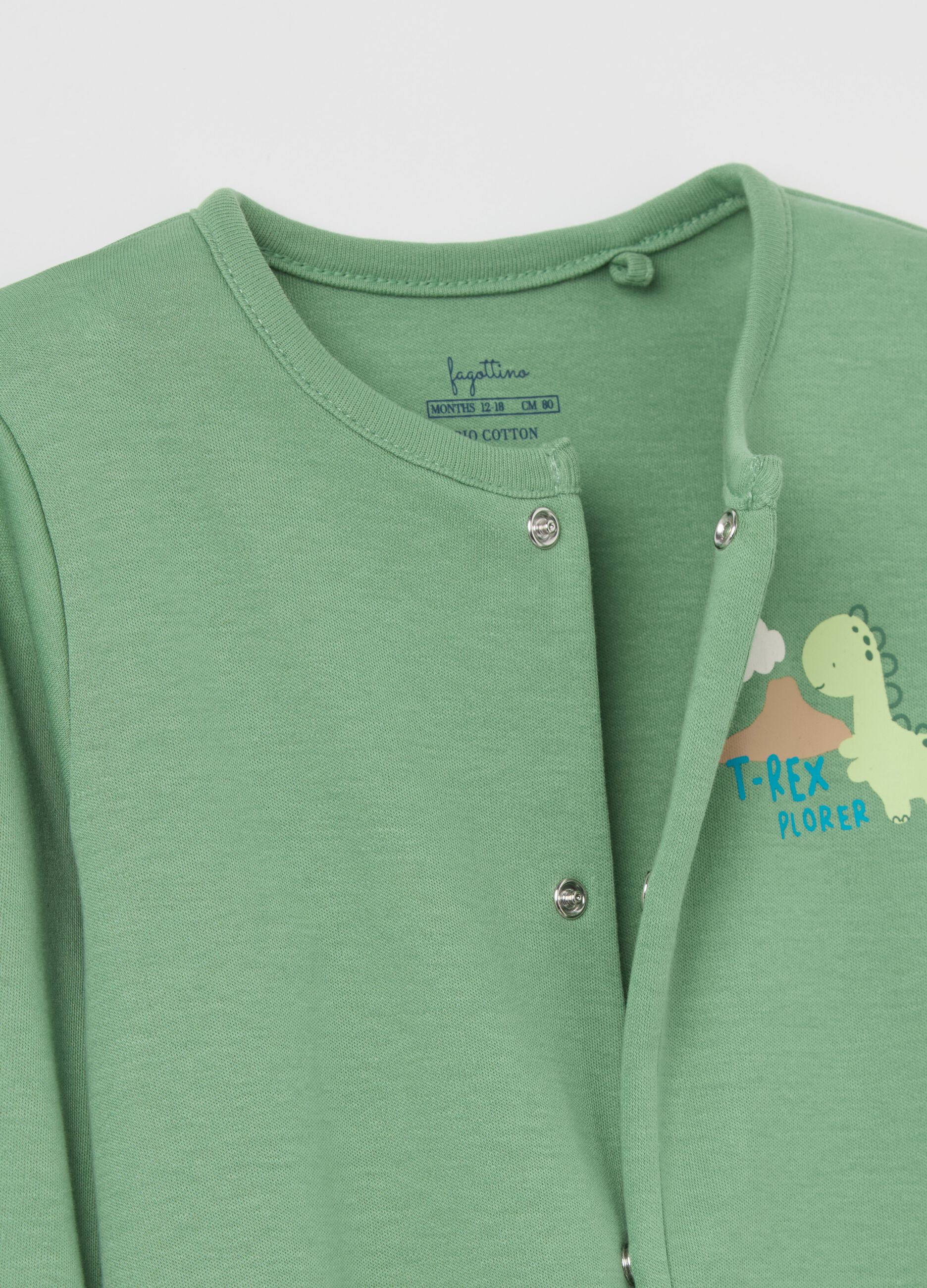 Two-pack onesies in organic cotton with dinosaurs print