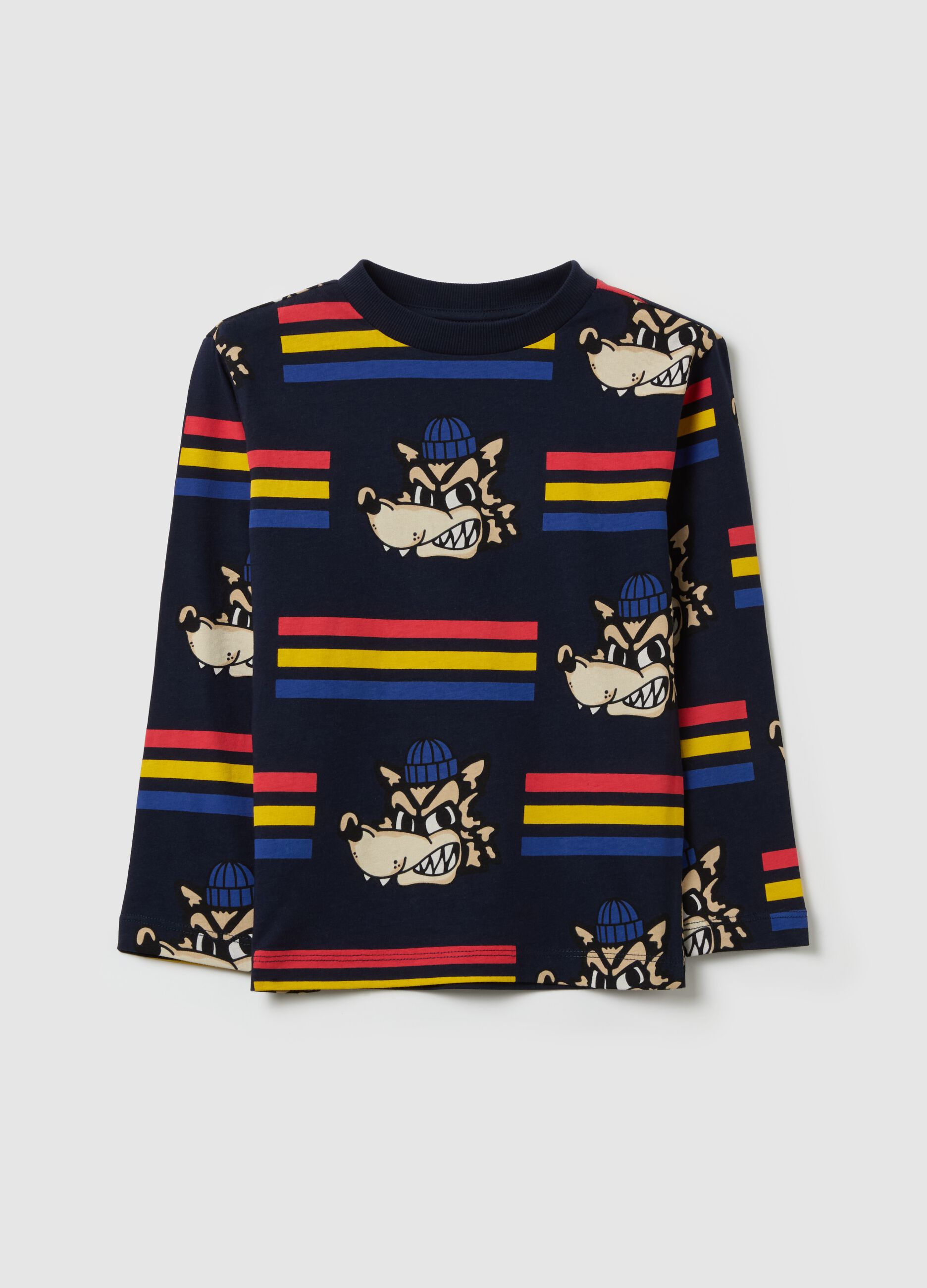 Long-sleeved T-shirt in cotton with print