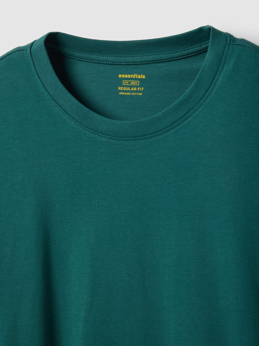 T-shirt in puro cotone verde regular fit_5