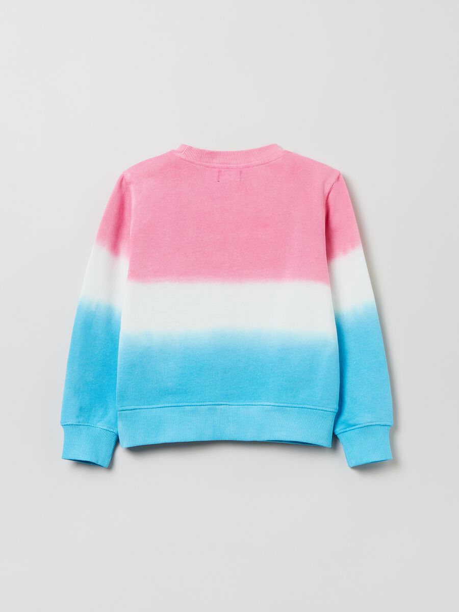 Sweatshirt with dip dye pattern and embroidery_1