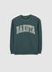 Kids' Green Crew Neck Sweatshirt with Print_4