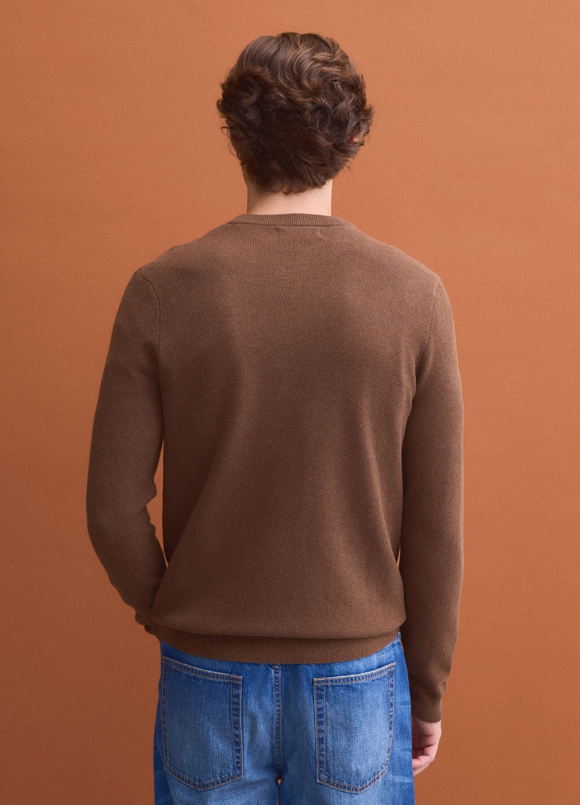Brown pure cotton crew-neck jumper, regular fit