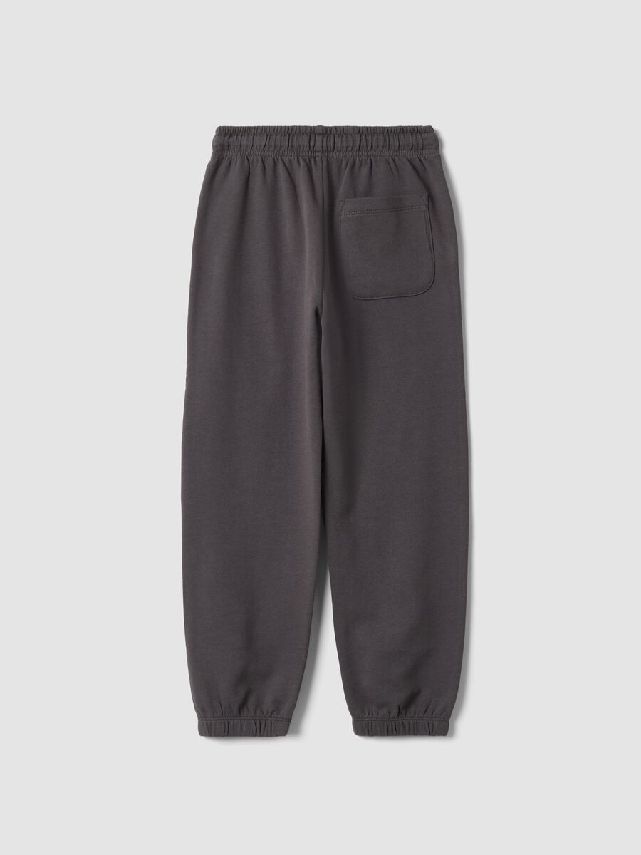 Pantaloni jogger grigi in puro cotone con stampa sportiva_1