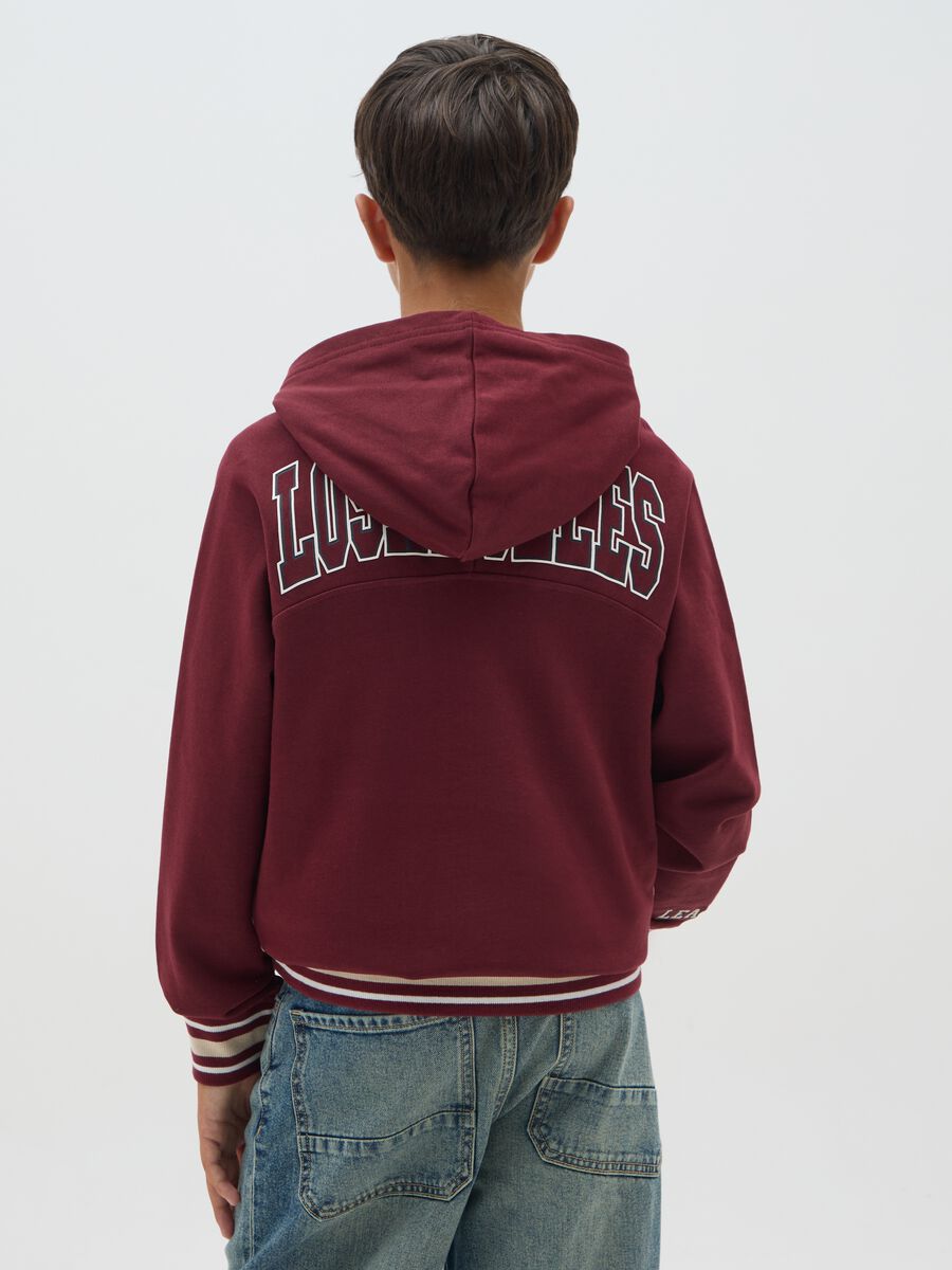 Felpa da ragazzo in puro cotone multicolor regular fit_1