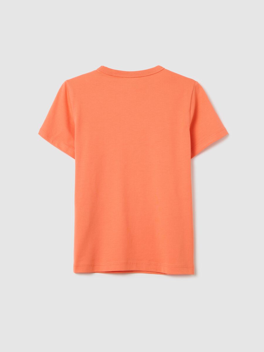 Organic cotton T-shirt with round neck_1