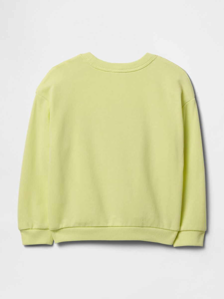 Green GAP Kids Sweatshirt_1