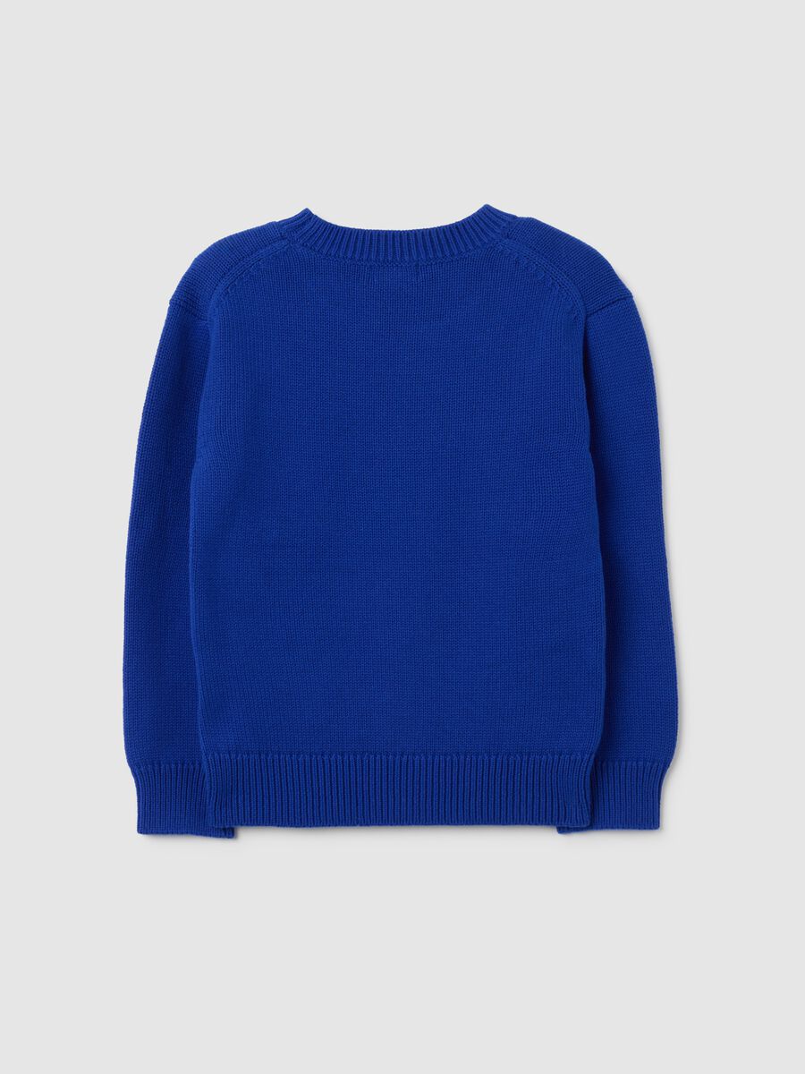 Boys' Regular Fit Blue Pure Cotton Jumper_1