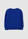 Boys' Regular Fit Blue Pure Cotton Jumper_1