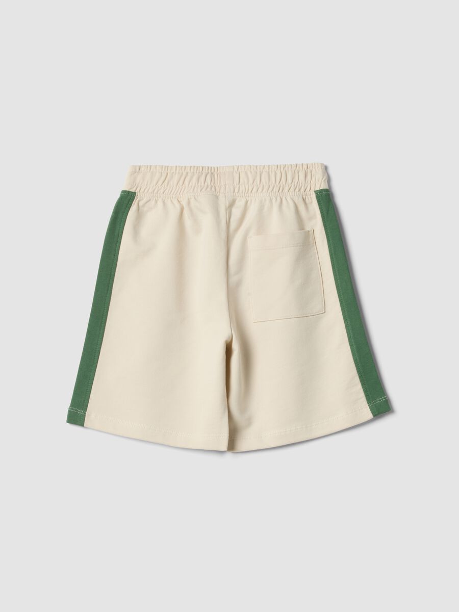 Multicoloured pure cotton regular fit shorts for boys_1