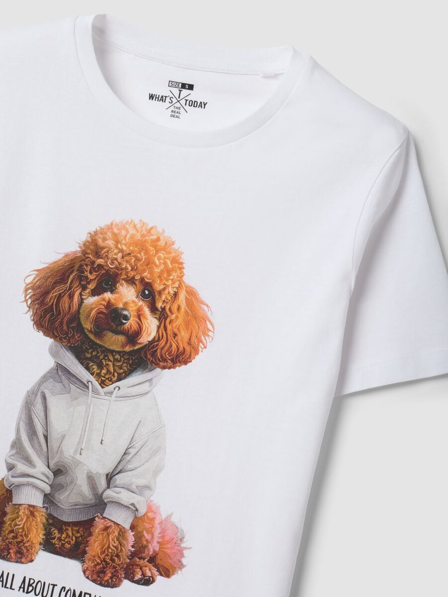 White pure cotton jersey T-shirt with dog print, regular fit_6
