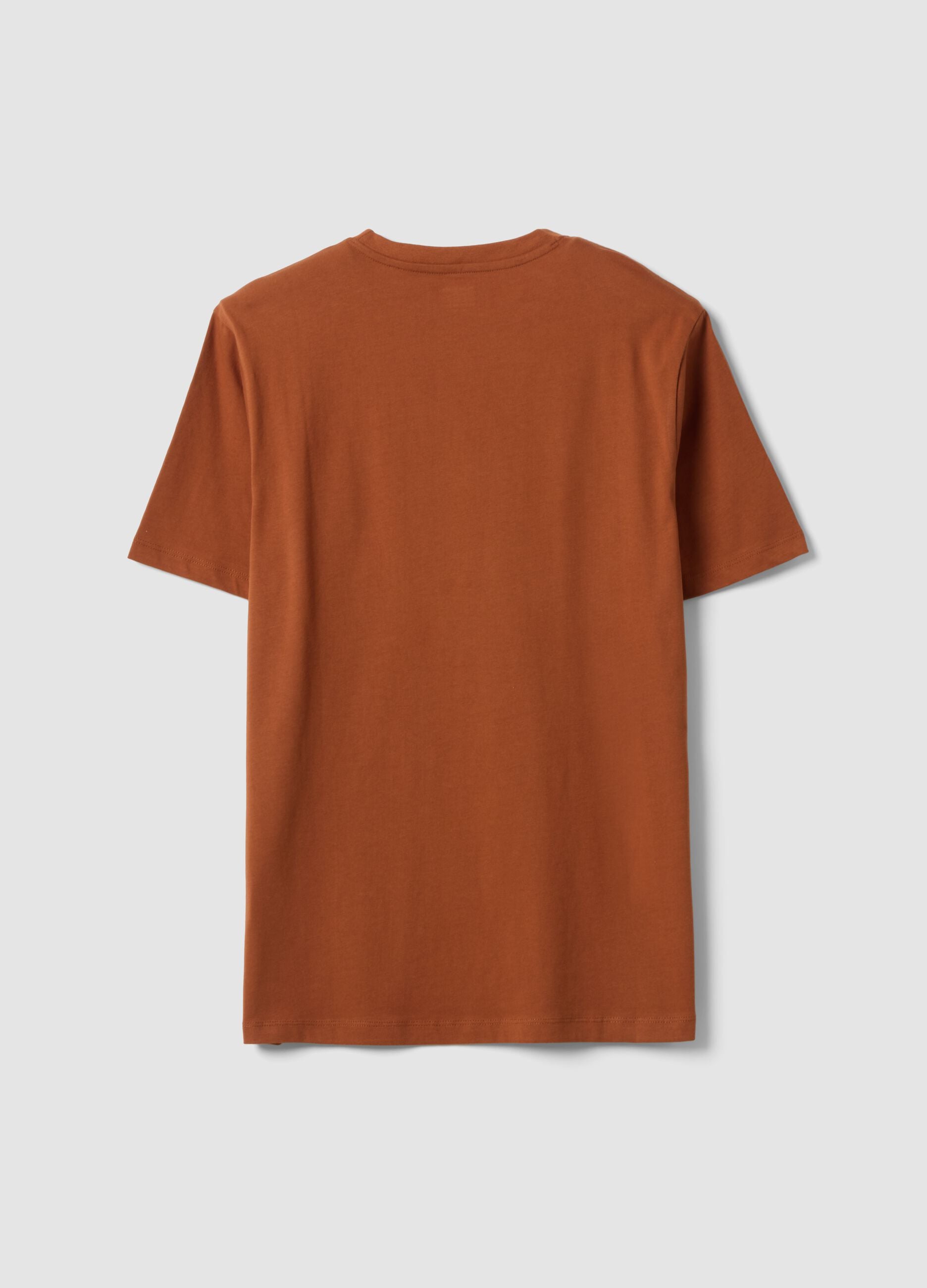 Brown regular-fit T-shirt in pure organic cotton jersey