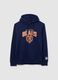 Blue Bears Hoodie_0
