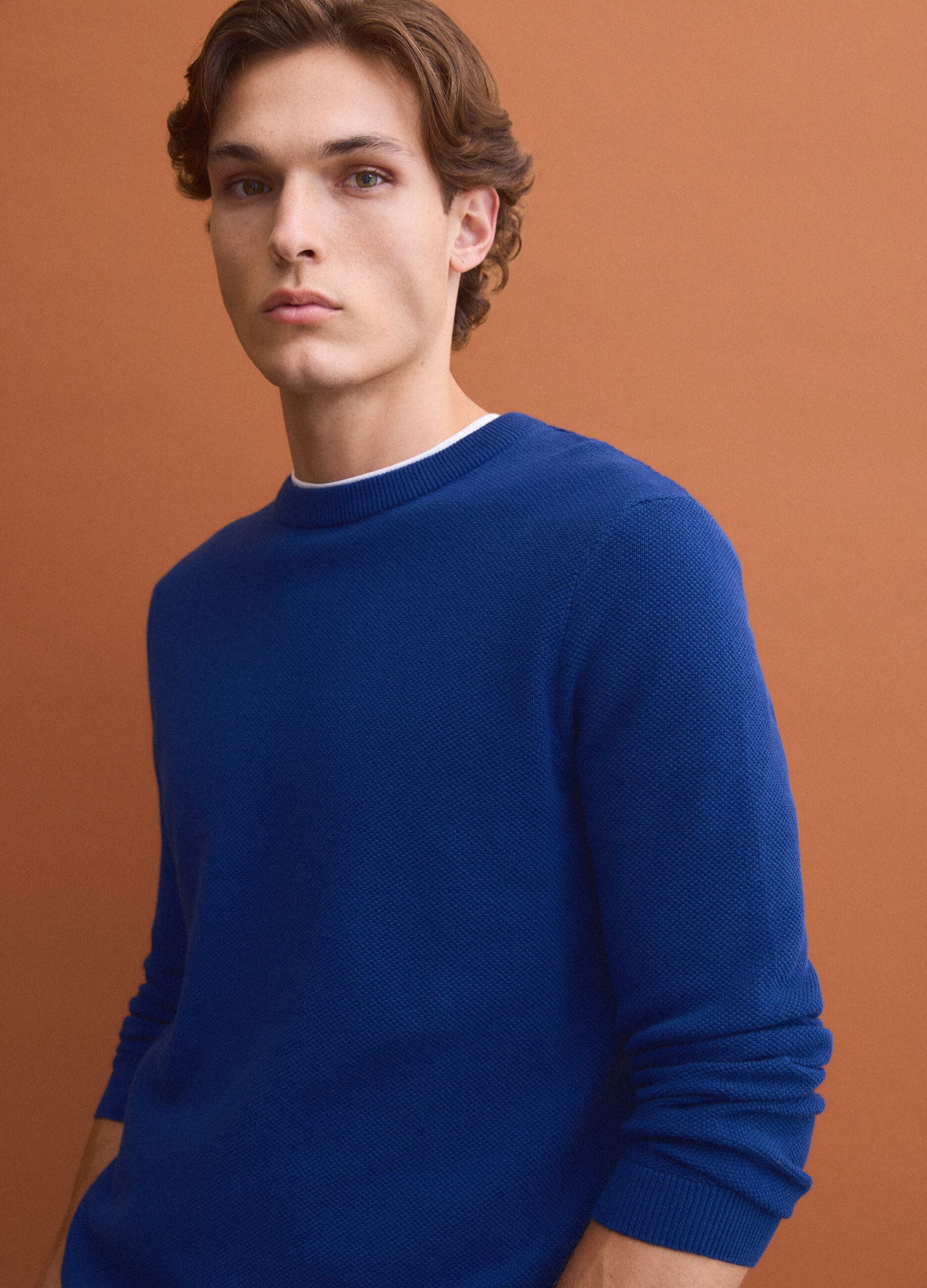 Blue pure cotton crew-neck jumper, regular fit