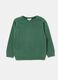 Solid colour 100% cotton knit pullover_0