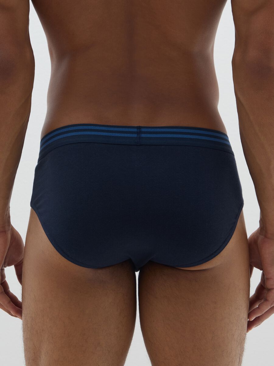 Set of multicolour regular fit elastic cotton briefs_2