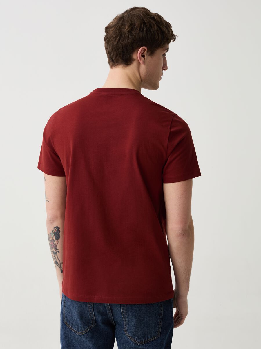 Organic cotton T-shirt with round neck_2