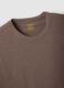 Brown pure cotton short sleeve regular fit T-shirt_1