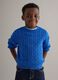 Kids' blue regular fit pure cotton pullover_0