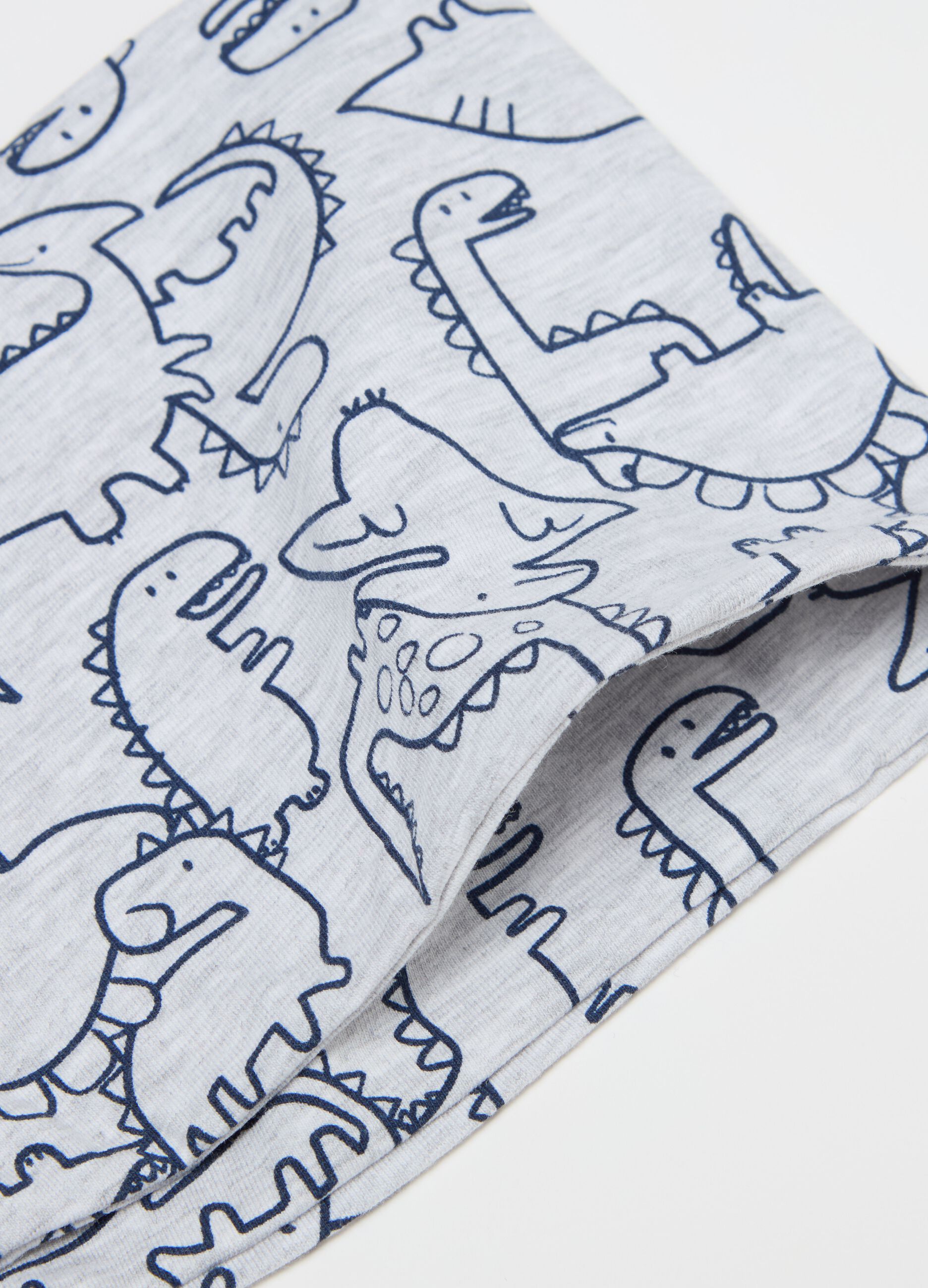 Hat and neck warmer set with dinosaurs print