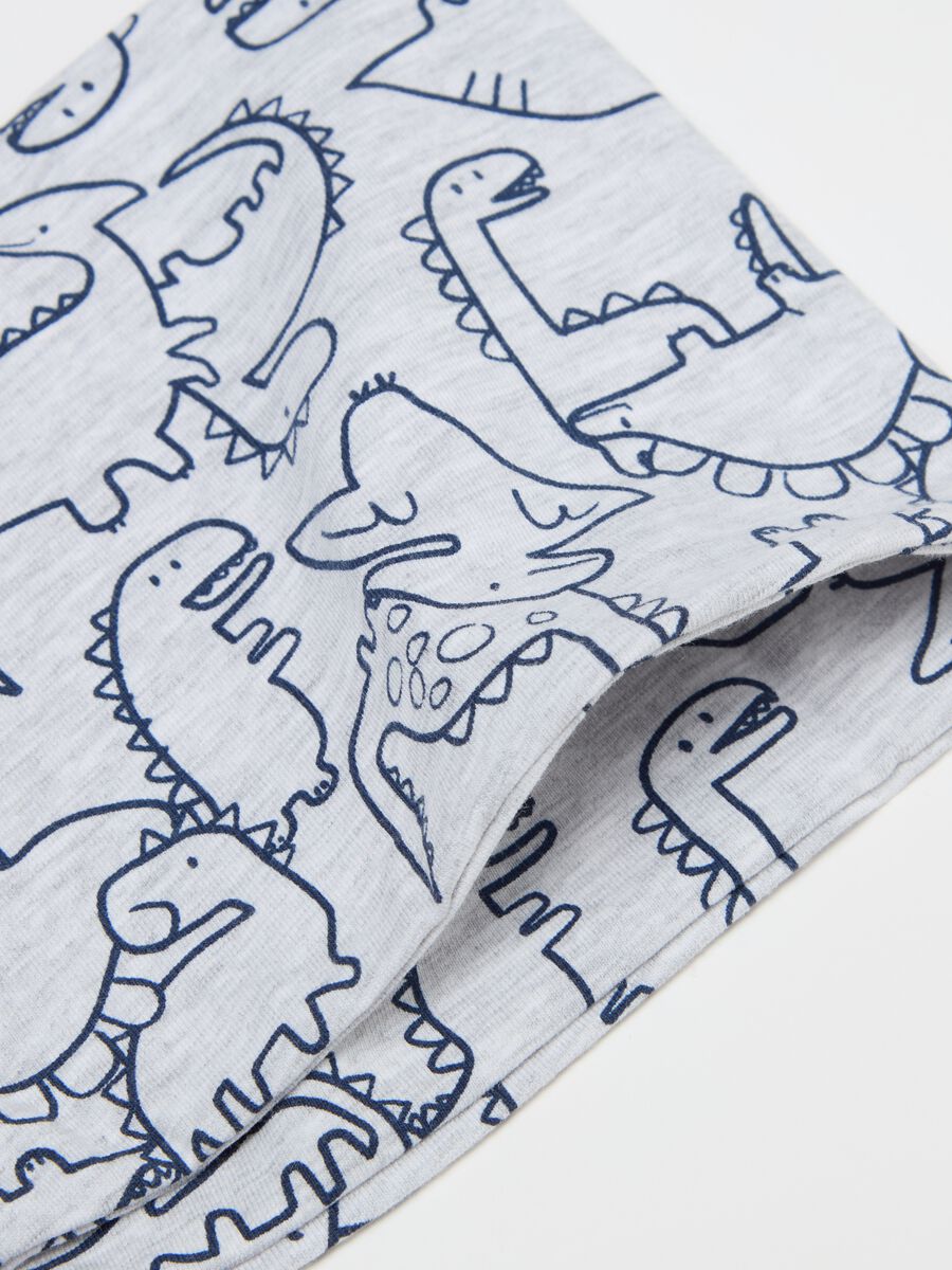 Hat and neck warmer set with dinosaurs print_1