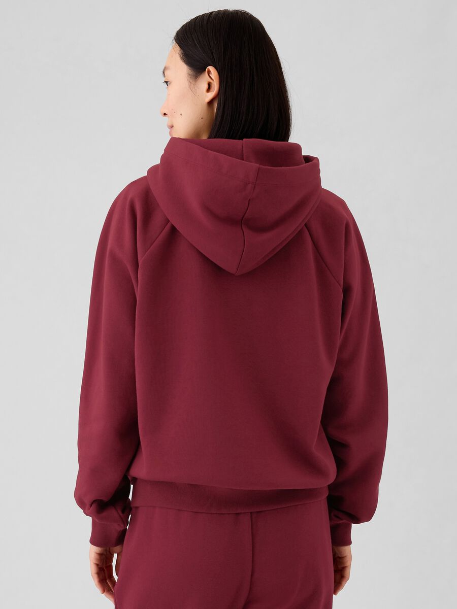 Felpa con cappuccio maniche raglan_2
