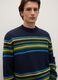 Multi-colour striped jacquard regular fit jumper_3