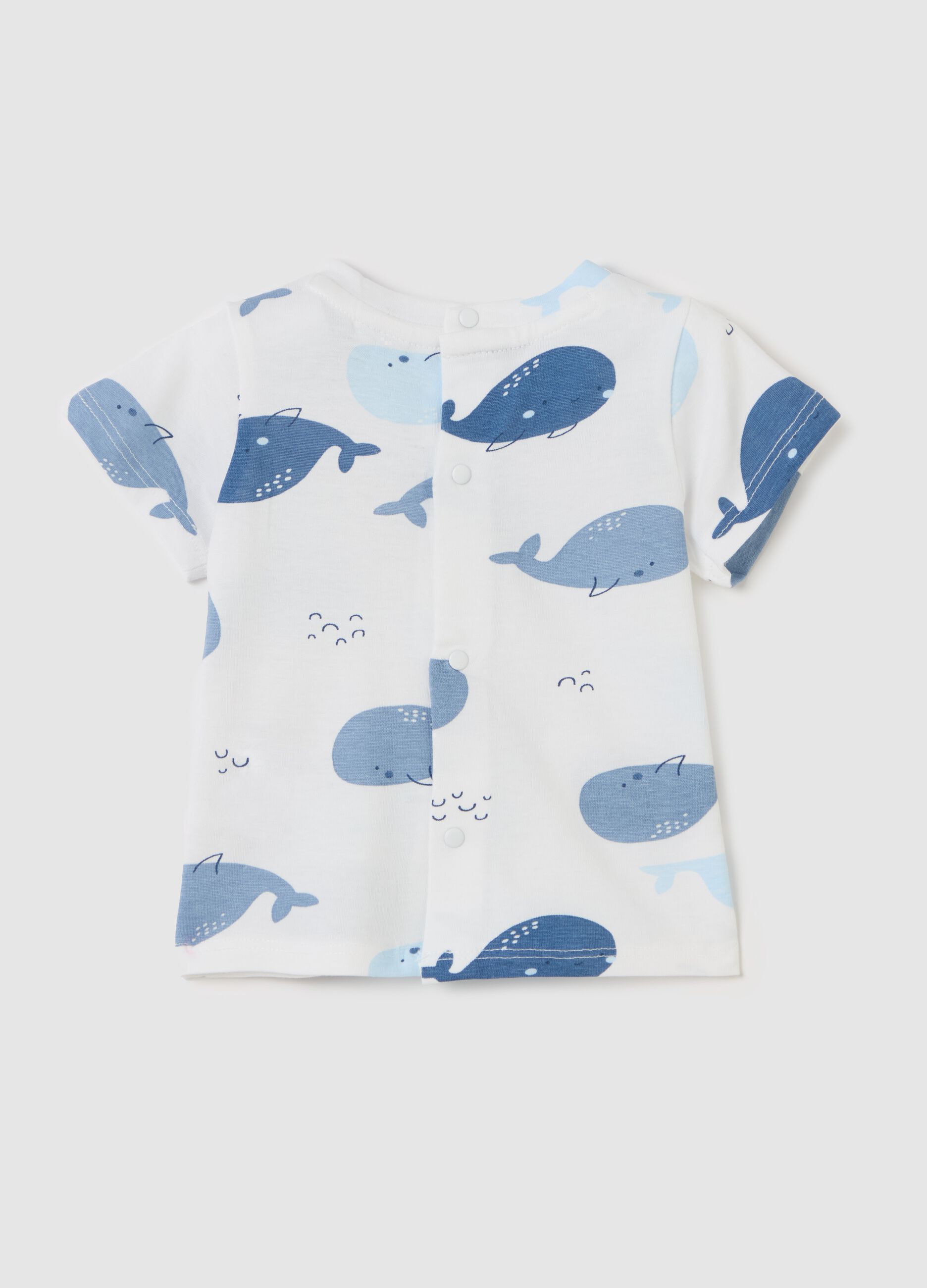 Cotton T-shirt with cetaceans print