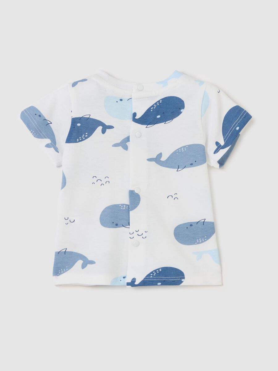 Cotton T-shirt with cetaceans print_1