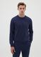 Blue Crew Neck Sweatshirt_0