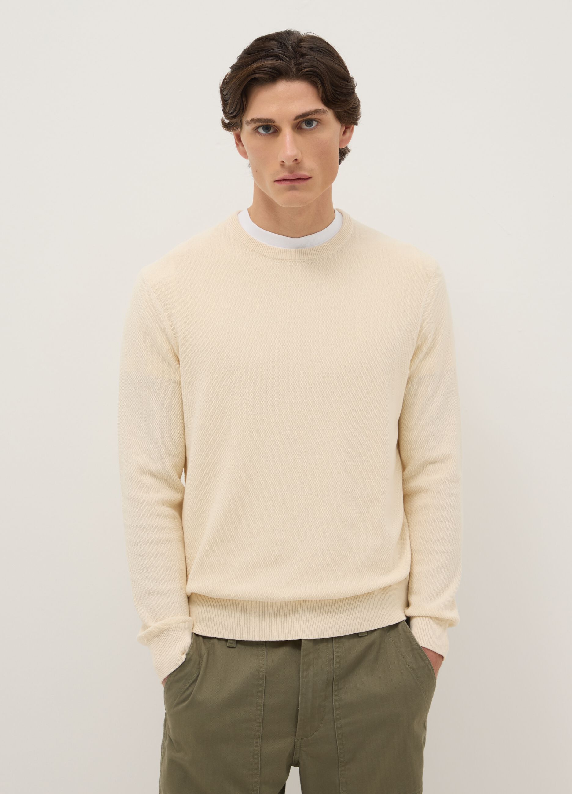 Beige crew neck sweater in pure cotton regular fit