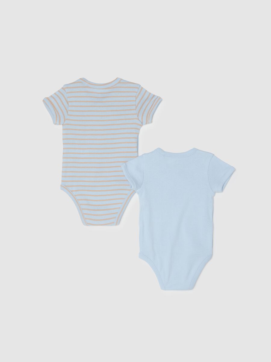 Newborn Multicolour Pure Cotton Bodysuit Twin Pack_1