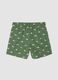 Green striped dinosaur print boys&rsquo; swim shorts_1