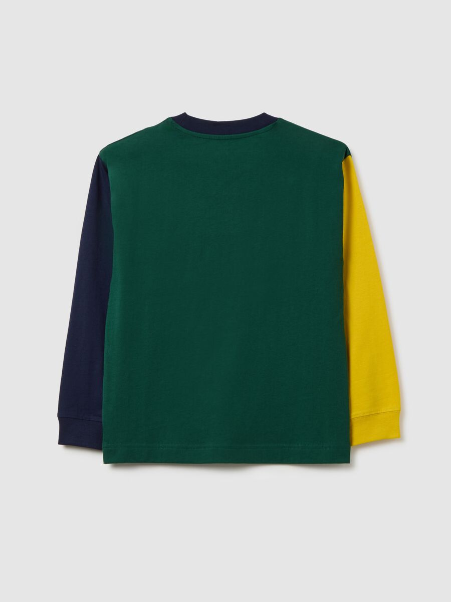 Multicolour pure cotton children's jumper regular fit_1