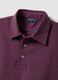 Polo viola in puro cotone a maniche corte slim fit_5