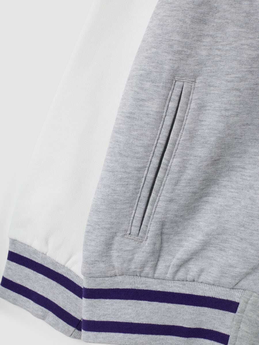 Grey marl pure cotton hoodie with Lakers print_3