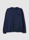 Regular fit blue pure cotton sweatshirt_4