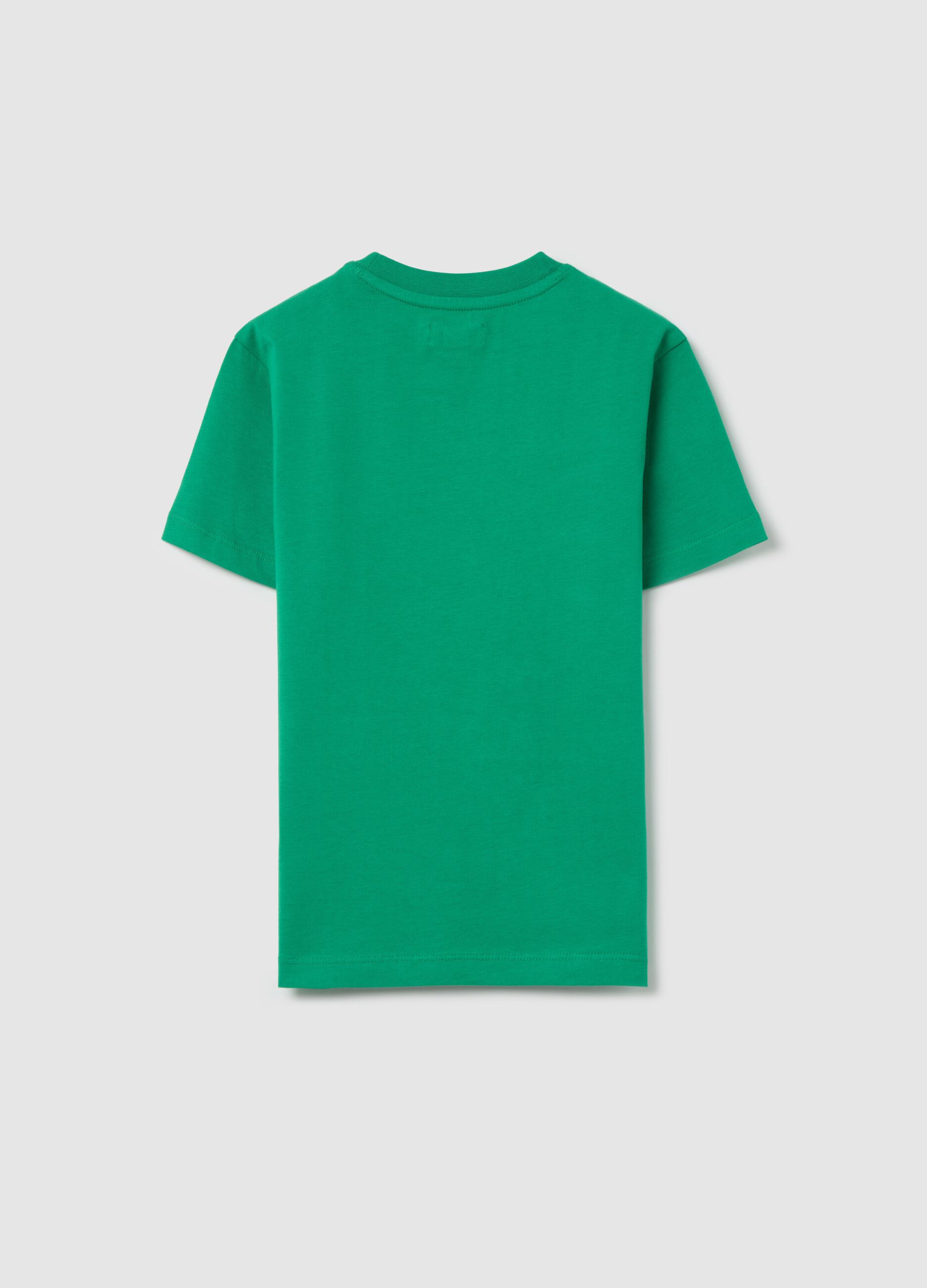Cotton T-shirt with lettering embroidery