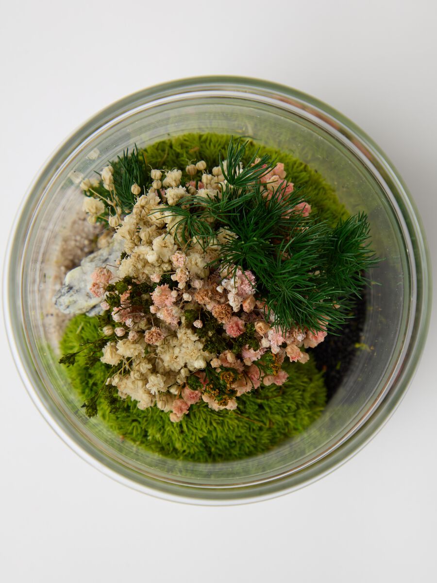 Evergreen Micro Terrarium_2