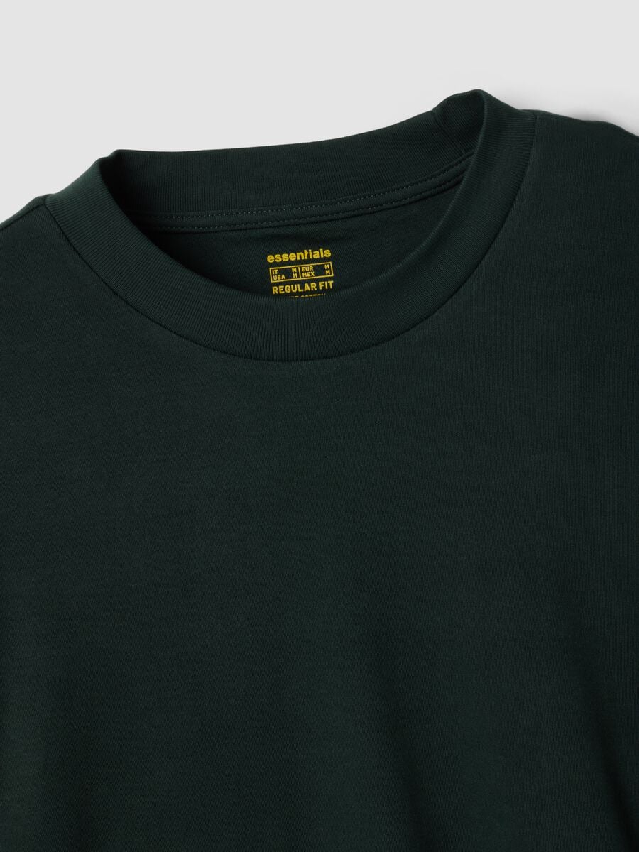 Green pure cotton crew-neck T-shirt, regular fit_1