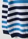 Regular fit multicolour striped pure cotton jumper for boys_3