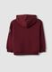 Purple cotton-blend hoodie with crew neck_1